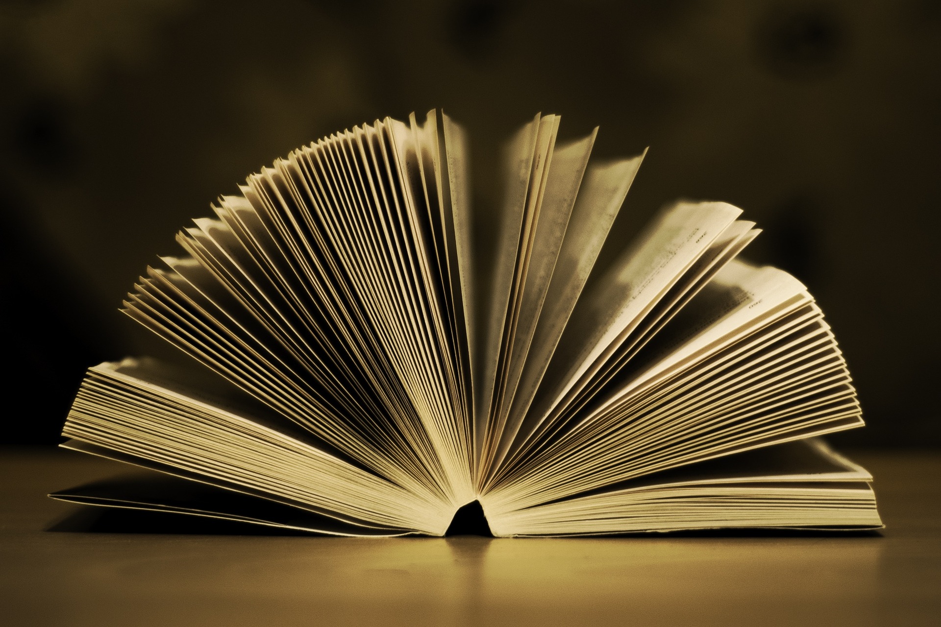 book-933088_1920